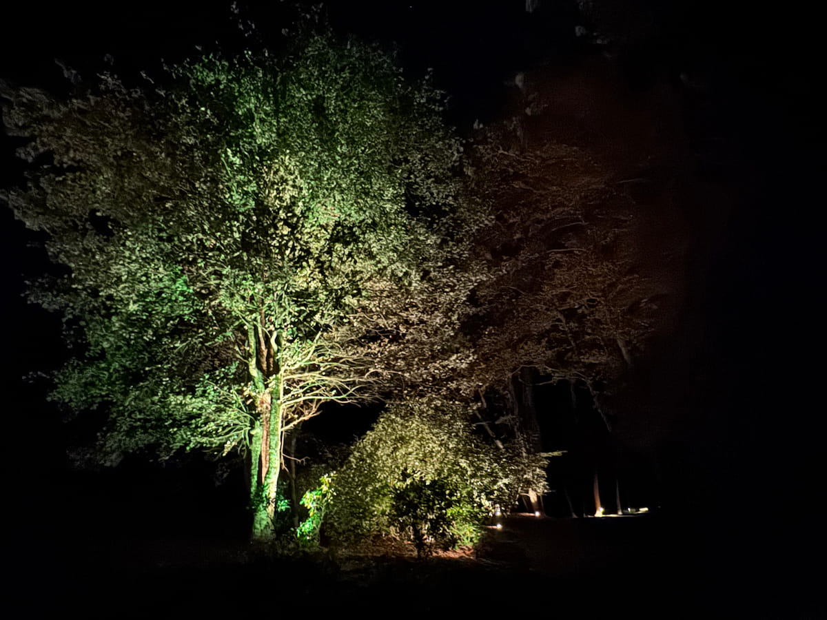 Directional landscape lighting installation by Luna Vista Exterior Lighting