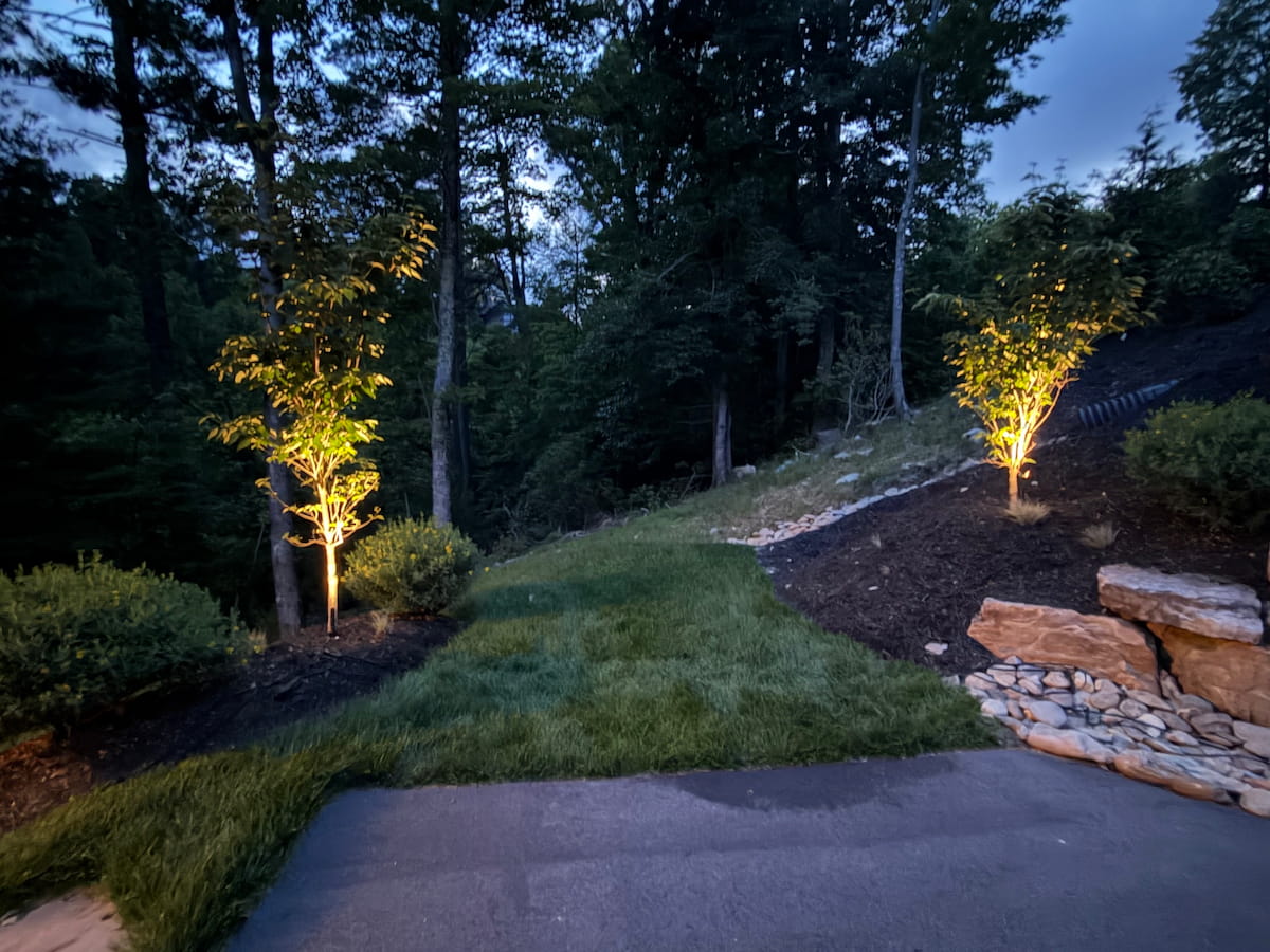 Directional spotlight uplighting on tree by Luna Vista Exterior Lighting