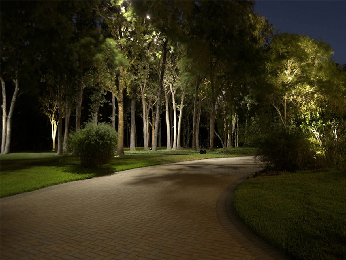 Directional spotlight uplighting on tree by Luna Vista Exterior Lighting