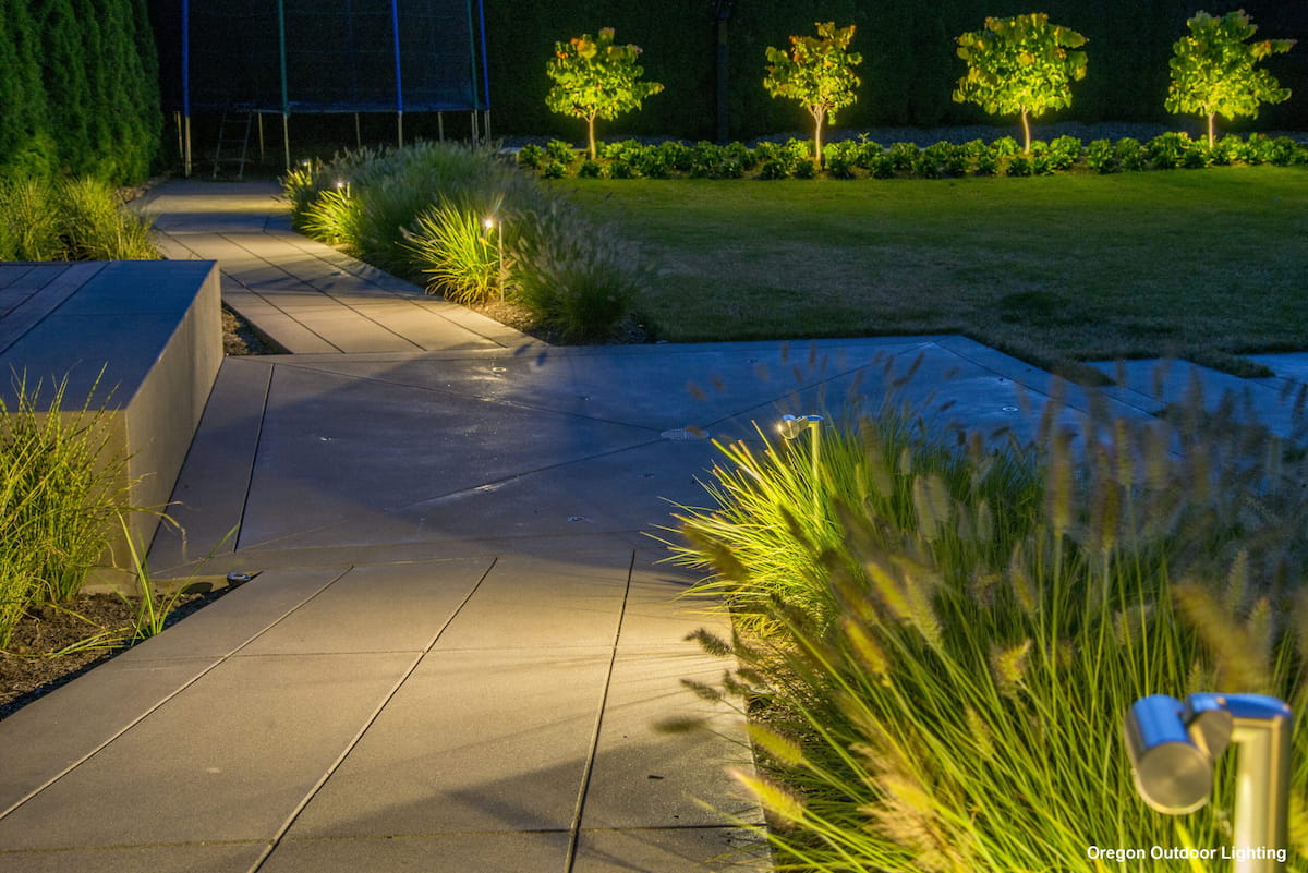 Directional spotlight uplighting on tree by Luna Vista Exterior Lighting