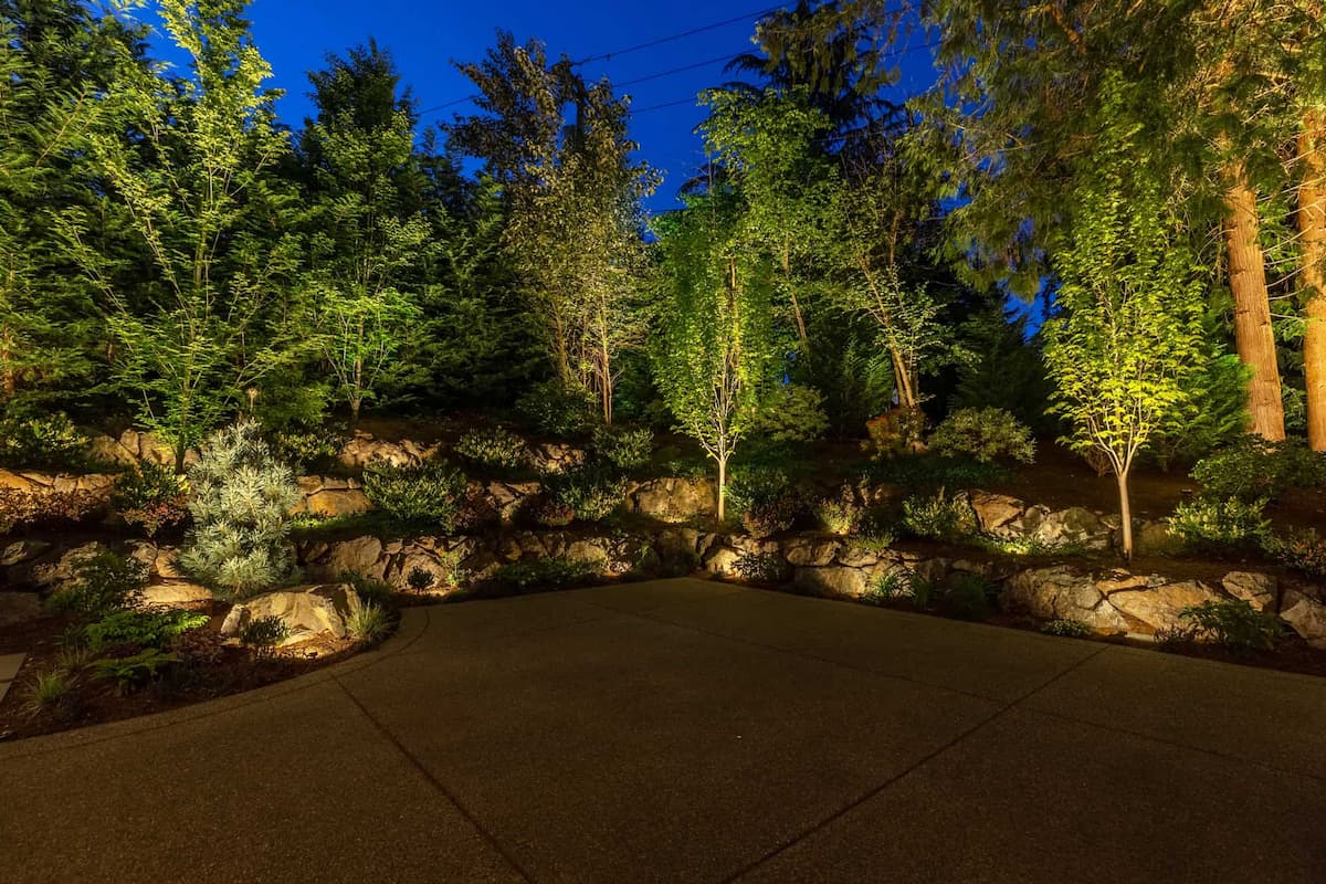 Directional spotlight uplighting on tree by Luna Vista Exterior Lighting